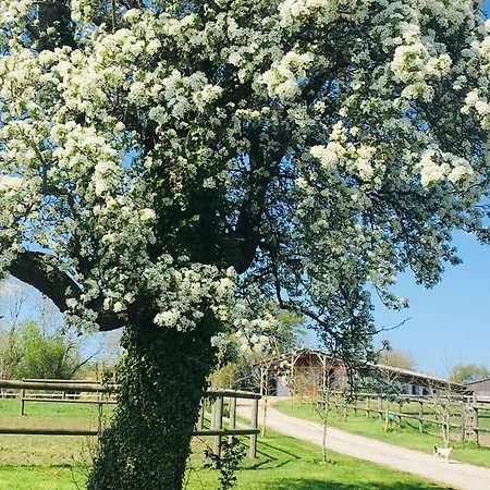 Holiday home Les Crins De Nature 2-4p - Haras De La Varende Le Mesnil-Simon (Calvados)