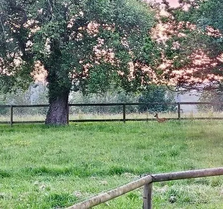 Les Crins De Nature - Elegant - Calme - Equestre Feriehus Le Mesnil-Simon (Calvados)