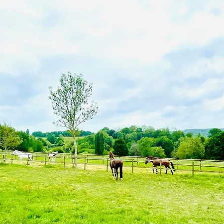 Les Crins De Nature - Elégant - Calme - Cours équestres