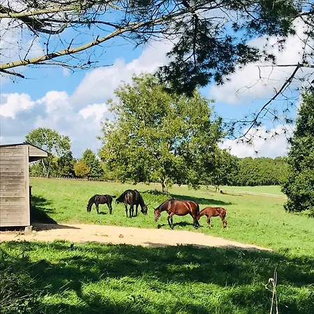 Les Crins De Nature - Elegant - Calme - Equestre Feriehus *