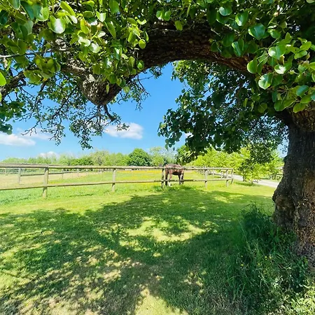 Feriehus Les Crins De Nature - Elegant - Calme - Equestre