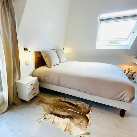 Les Crins De Nature - Elégant - Calme - Cours équestres