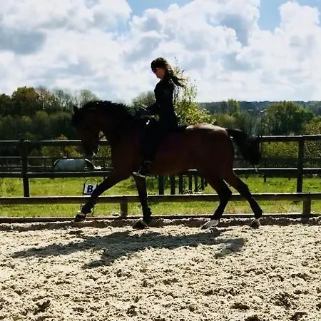 Les Crins De Nature - Elegant - Calme - Equestre Feriehus Le Mesnil-Simon (Calvados)