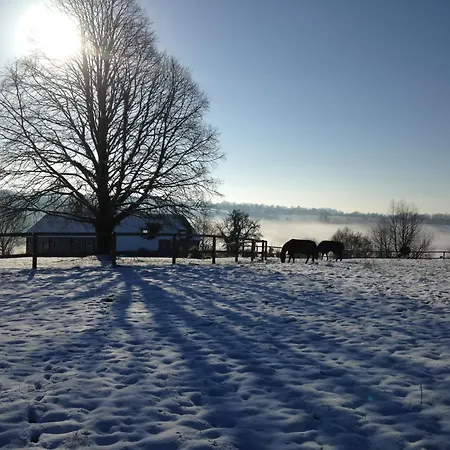 Les Crins De Nature - Elegant - Calme - Equestre Feriehus