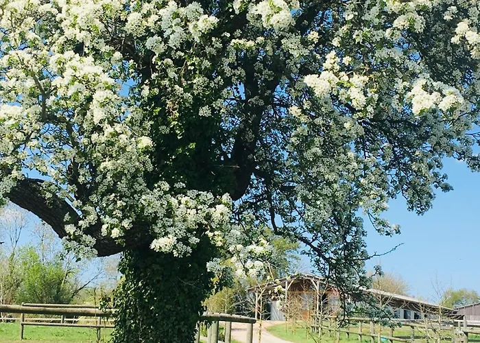 Dom wakacyjny Les Crins De Nature - Elegant - Calme - Equestre Le Mesnil-Simon (Calvados)