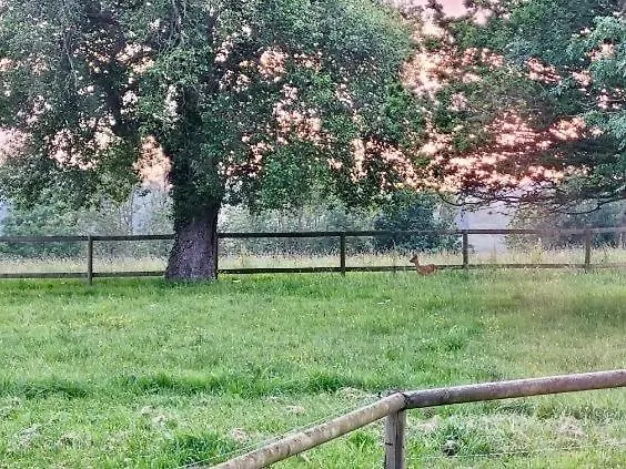 Les Crins De Nature - Elegant - Calme - Equestre Dom wakacyjny Le Mesnil-Simon (Calvados)