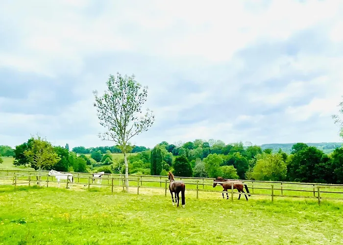 Les Crins De Nature - Elegant - Calme - Equestre