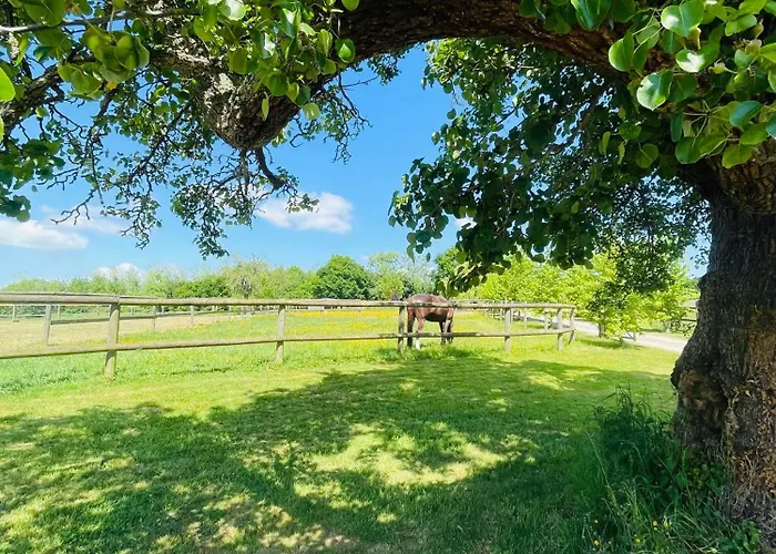 Dom wakacyjny Les Crins De Nature - Elegant - Calme - Equestre