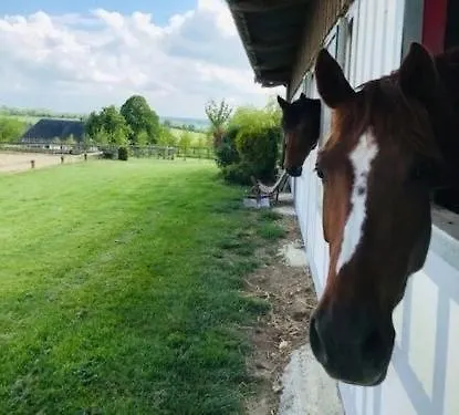 Dom wakacyjny Les Crins De Nature - Elegant - Calme - Equestre Le Mesnil-Simon (Calvados)
