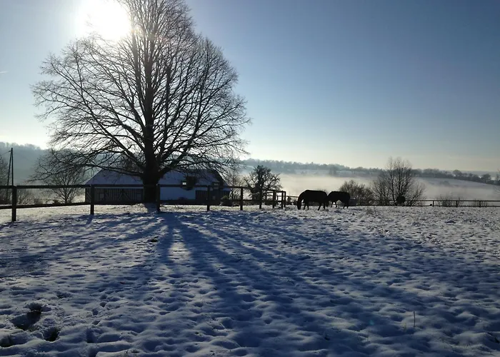Les Crins De Nature - Elegant - Calme - Equestre Dom wakacyjny